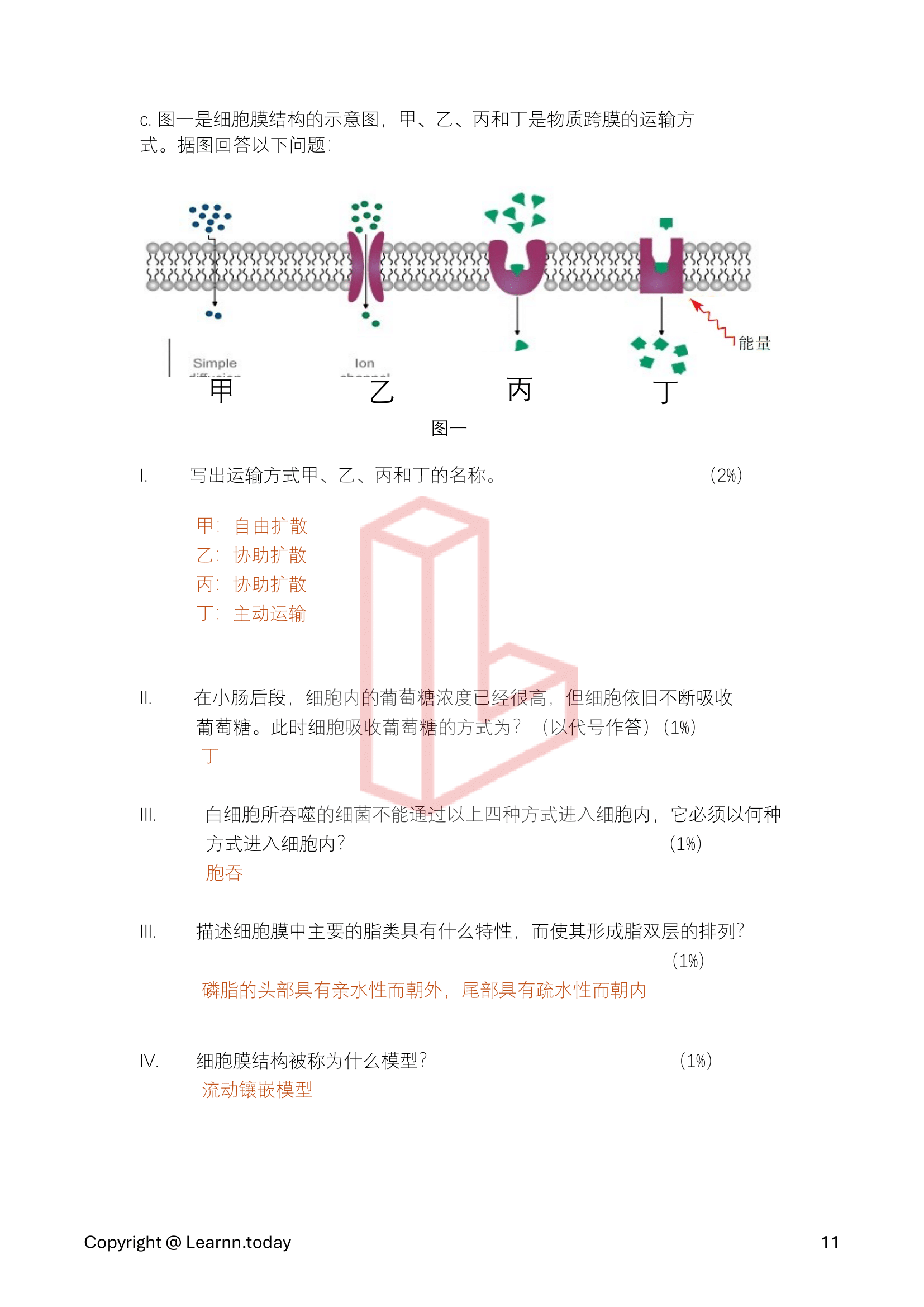 第⼀学期期中考模拟试卷 4 + 答案